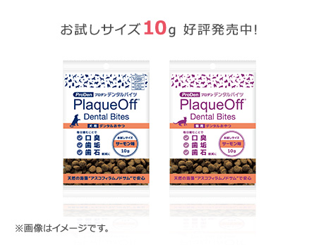 デンタルバイツ　サーモン味