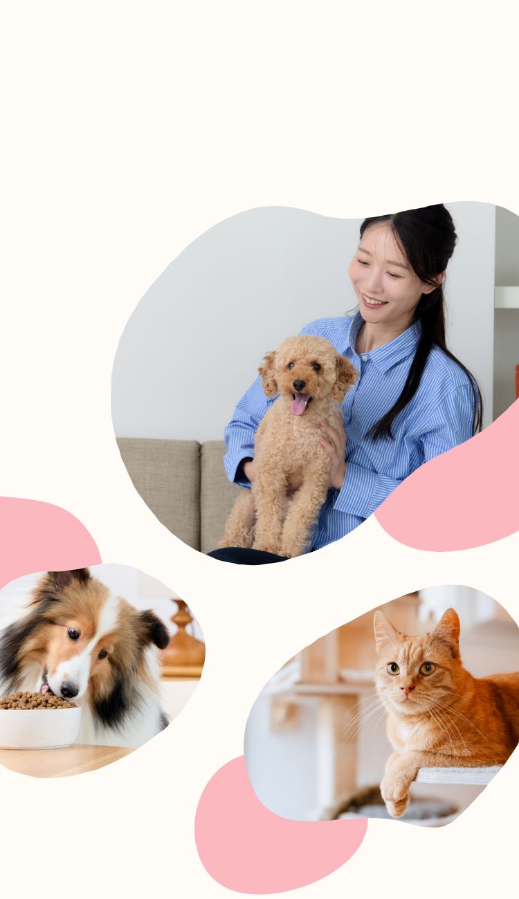 ペットとその家族の豊かな暮らしのために