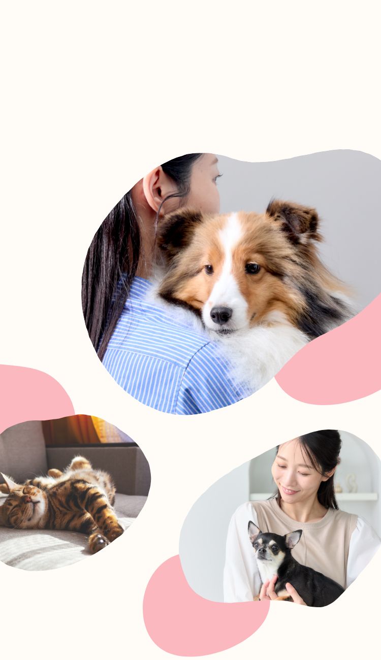 ペットとその家族の豊かな暮らしのために