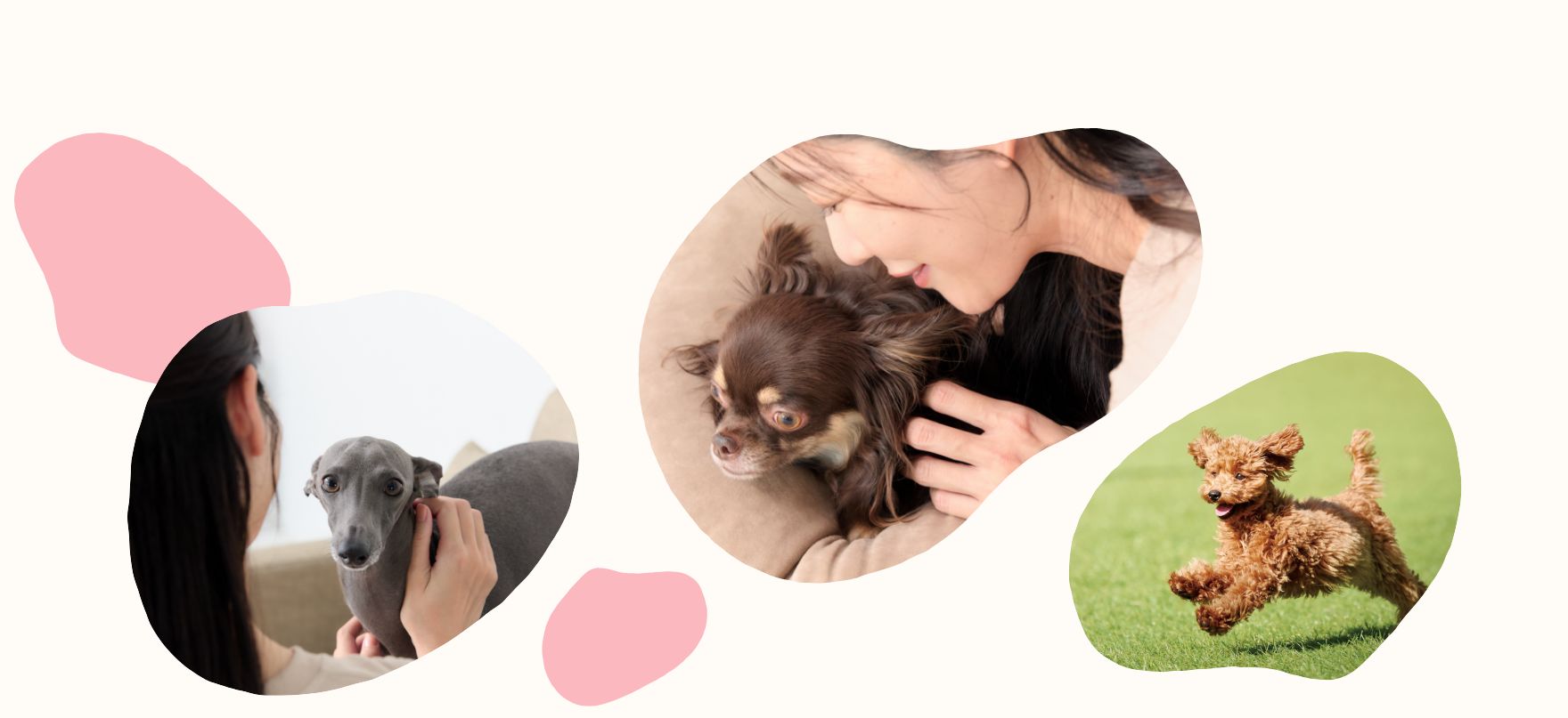 ペットとその家族の豊かな暮らしのために