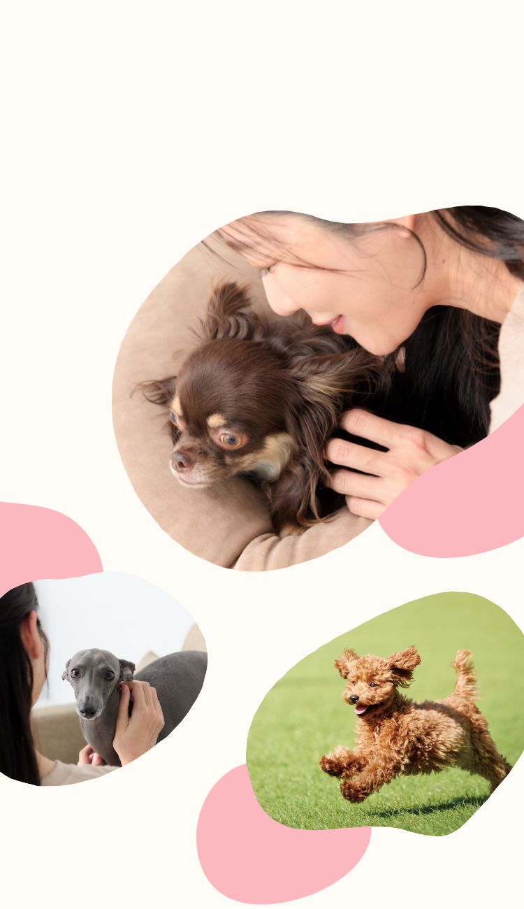 ペットとその家族の豊かな暮らしのために