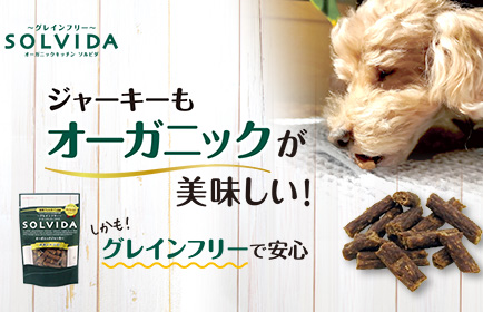 SOLVIDA jerky